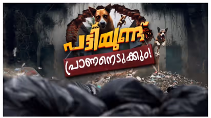 തലസ്ഥാനമാണ് മുന്നിൽ, ഈ വർഷം പട്ടികടിയേറ്റത് 15,718 പേർക്ക്! കൊല്ലത്ത് 12,654, പേടിപ്പിക്കുന്ന കണക്ക്!