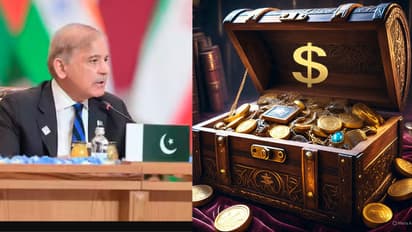 ಭಾರತದ ವಿರೋಧ ನಡುವೆಯೂ ಪಾಕಿಸ್ತಾನದ ಖಾತೆಗೆ ಸೇರಿದ ₹8400 ಕೋಟಿ