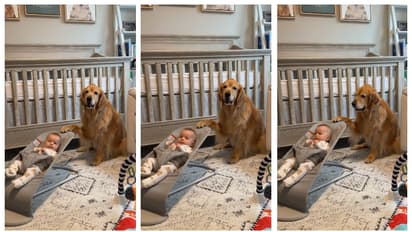 नन्हे बच्चे का अनोखा दोस्त बना पालतू कुत्ता, दिल छू लेने वाला वीडियो वायरल