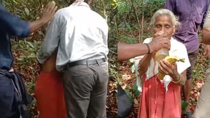 പഞ്ചാരക്കൊല്ലിക്ക് സമീപത്തെ കാട്ടിലേക്ക് ഊന്നുവടിയൂന്നി കയറിപ്പോയ ലീല; ഉൾക്കാട്ടിൽ മൂന്ന് ദിവസം, സുരക്ഷിത 