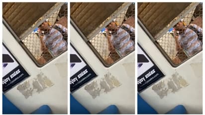 'പറയുന്നത് പോലെ മുംബൈ അത്ര സുരക്ഷിതമാണോ?' വനിതാ കമ്പാർട്ട്മെന്‍റിലേക്ക് ആണുങ്ങളുടെ ഒളിഞ്ഞ് നോട്ടമെന്ന് പരാതി 