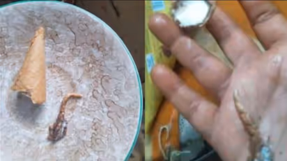 ಐಸ್‌ಕ್ರೀಂನಲ್ಲಿ ಮಹಿಳೆಗೆ ಸಿಕ್ಕಿದ್ದೇನು? ತೀವ್ರ ವಾಂತಿಯಿಂದ ಆಸ್ಪತ್ರೆಗೆ ದಾಖಲಾದ ಮಹಿಳೆ 