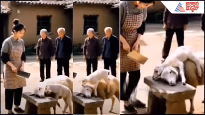 ಪ್ಲೀಸ್ ಅಮ್ಮನನ್ನು ಬಿಟ್ಟುಬಿಡಿ... ನನ್ನನ್ನು ಕೊಂದು ತಿನ್ನಿ... ಇದೇನಿದು ಕಂದನ ಕೂಗು?