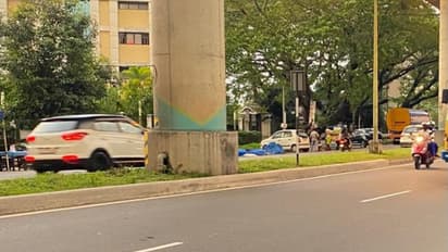 ആലുവ മെട്രോ പില്ലർ 87 ന് താഴെ 63 സെന്റീമീറ്റർ വരെ വളർന്നു, രഹസ്യ വിവരം കിട്ടിയെത്തി, കണ്ടെത്തിയത് കഞ്ചാവ് ചെടി