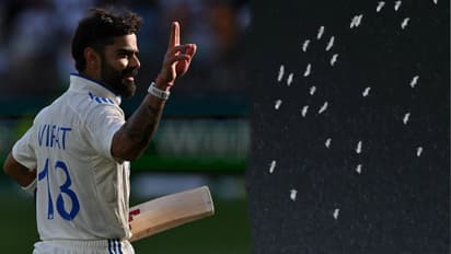 RCB vs KKR; ಬಿಳಿ ವಸ್ತ್ರಕ್ಕೆ ಬಣ್ಣ ತುಂಬಿದ್ದ Virat Kohli; ಬೆಂಗಳೂರಿನಲ್ಲಿ ಗೌರವ ನೀಡಿದ ಪಾರಿವಾಳಗಳು