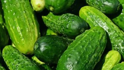 ಹುಣಸೂರು ಬಸ್ ನಿಲ್ದಾಣದಲ್ಲಿ ಸೌತೆಕಾಯಿ ಮಾರಾಟ ನಿಷೇಧ! ಕಾರಣವೇನು ಗೊತ್ತಾ?