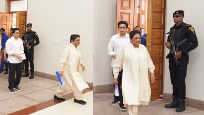 bsp mayawati akash anand returns as national coordinator leadership update