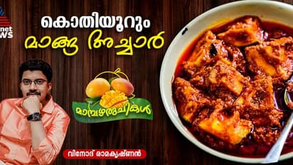 വർഷങ്ങളോളം കേടുകൂടാതെ സൂക്ഷിക്കാവുന്ന കിടിലൻ മാങ്ങ അച്ചാർ; റെസിപ്പി