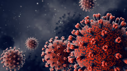 ಇದ್ಯಾವುದು ಜೆನ್.1 ಕೋವಿಡ್ ತಳಿ, ಏಷ್ಯಾದಲ್ಲಿ ಸ್ಫೋಟಗೊಂಡ ವೈರಸ್ ಅಪಾಯಕಾರಿನಾ?