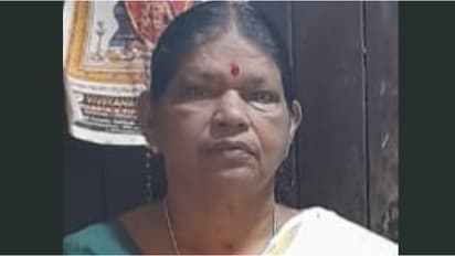 ചെറുമകന്റെ ചോറൂണ് ചടങ്ങ്, മണ്ണാറശ്ശാല ക്ഷേത്രത്തിലെത്താനുള്ള യാത്രയ്ക്കിടെ മുത്തശ്ശിക്ക് ദാരുണാന്ത്യം