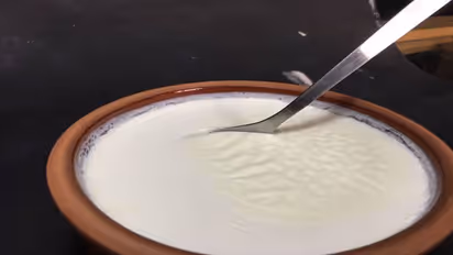 avoid eating these 5 foods with curd it can cause gut problems