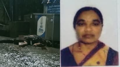 ശബരിമല ദർശനം കഴിഞ്ഞ് മടങ്ങവേ ഷോക്കേറ്റു, നീലിമലയിൽ തീർഥാടകയ്ക്ക് ദാരുണാന്ത്യം