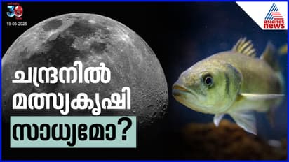 ഭൂമിയിൽ മാത്രമല്ല, അങ്ങ് ആകാശത്തിന് മുകളിൽ ചന്ദ്രനിലും മത്സ്യകൃഷി! അത്ഭുതപ്പെടേണ്ട, പുതിയ പരീക്ഷണം ഇങ്ങനെ