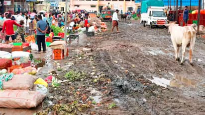 Ballary: ಜನರ ಕೈಗೆ ಸಿಗದ ಬಳ್ಳಾರಿ ಜಿಲ್ಲೆ ಕಾಂಗ್ರೆಸ್‌ ಶಾಸಕರು! ಪಾಲಿಕೆ ಕಳಪೆ ಆಡಳಿತದಿಂದ ರೋಸಿಹೋದ ನಾಗರಿಕರು