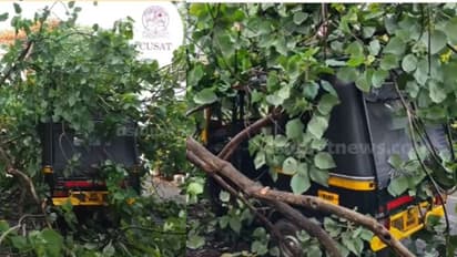 കൊച്ചിയിൽ ഓടിക്കൊണ്ടിരുന്ന ഓട്ടോയ്ക്ക് മുകളിലേക്ക് മരം കടപുഴകി വീണു; ഡ്രൈവറും യാത്രക്കാരും രക്ഷപ്പെട്ടു