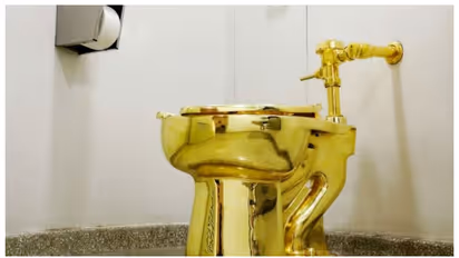 51 करोड़ का सोने का टॉयलेट चुराने वाले चोर को मिली 240 घंटे की अनोखी सजा