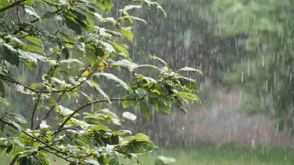 വടക്കൻ ജില്ലകളിൽ ഇന്നും മഴ കനക്കും; 2 ജില്ലകളിൽ ഓറഞ്ച്, മറ്റു രണ്ടു ജില്ലകളിൽ യെല്ലോ അലർട്ട് പ്രഖ്യാപിച്ചു