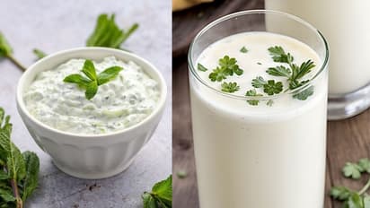 curd or buttermilk for body heat