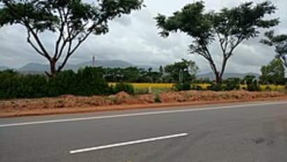 ആരോ കാത്ത് വച്ചു പോയതാ! രഹസ്യവിവരം കിട്ടി പൊലീസെത്തി, കാടുപിടിച്ചിടത്ത് 85സെന്റിമീറ്റർ വളർന്ന് കഞ്ചാവ് ചെടി