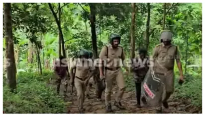 കാളികാവിലെ നരഭോജി കടുവയെ കണ്ടെത്തി, കേരള എസ്റ്റേറ്റ് എസ് വളവിൽ; പിടികൂടാനുള്ള ശ്രമത്തിൽ വനംവകുപ്പ്