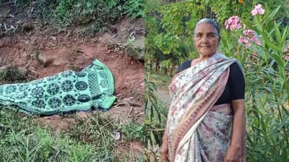 വീണ്ടും ജീവനെടുത്ത് കാട്ടാന; മലക്കപ്പാറ-വാൽപ്പാറ അതിർത്തിയിൽ കാട്ടാന ആക്രമണത്തിൽ വായോധിക കൊല്ലപ്പെട്ടു