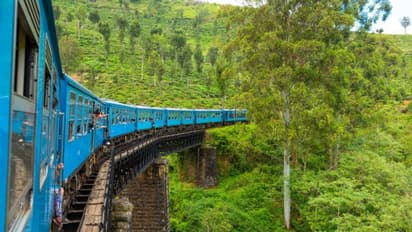 ಎಲ್ಲೆಲ್ಲೂ ಚಹಾ ತೋಟಗಳು, ಜಲಪಾತಗಳು ಮತ್ತು ಹಳ್ಳಿಗಳು...ಭಾರತದ 5 ಅತ್ಯುತ್ತಮ ರೈಲು ಮಾರ್ಗಗಳಿವು