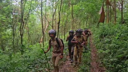 മലപ്പുറത്ത് ചില പ്രദേശങ്ങളിൽ കടുവ സാന്നിധ്യം; ഒറ്റയ്ക്കുള്ള യാത്രകൾ ഒഴിവാക്കണം, ജാഗ്രത വേണമെന്ന് വനം വകുപ്പ്