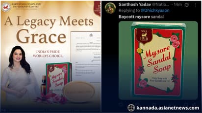 ಮೈಸೂರು ಸ್ಯಾಂಡಲ್ ಸೋಪ್ ರಾಯಭಾರಿಯಾಗಿ ತಮನ್ನಾ ಆಯ್ಕೆ ವಿವಾದ: ಕರವೇ  ನಾರಾಯಣ ಗೌಡ  ಕೆಂಡಾಮಂಡಲ