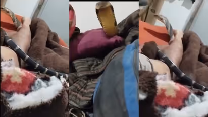 കാലിൽ തണുപ്പ്, ഉറക്കച്ചടവിൽ കണ്ണുതുറന്ന് കണ്ട കാഴ്ചയിൽ ആരും ഭയക്കും, ശാന്തനായി രാജവെമ്പാലയുടെ വീഡിയോ പകർത്തി