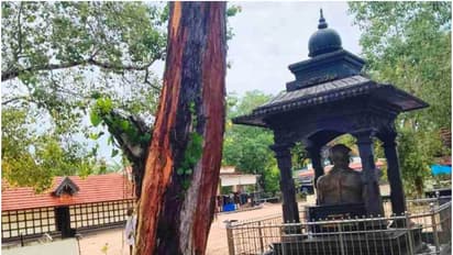 ആറാട്ടുപുഴ മംഗലം ക്ഷേത്രത്തിൽ ഇടിമിന്നലടിച്ചു, ക്ഷേത്ര ഓഫീസിലടക്കം കനത്ത നാശം