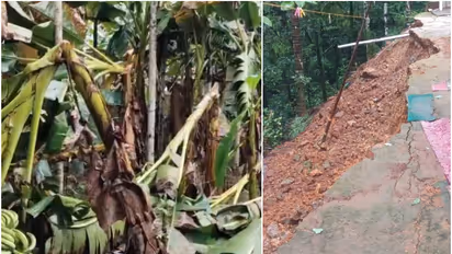 കോഴിക്കോട് ശക്തമായ കാറ്റിലും മഴയിലും മലയോര മേഖലകളില്‍ വ്യാപക നാശനഷ്ടം