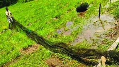 പുതുമഴയിൽ വലിയ വല വെച്ച് മീനുകളെ പിടിക്കാനിറങ്ങല്ലേ; നടപടി പിന്നാലെ വരും 