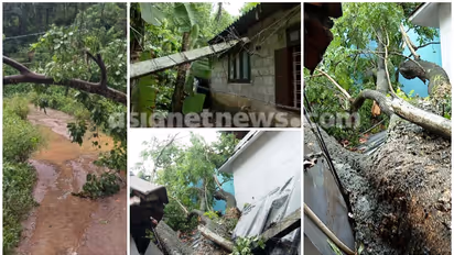 കേരളത്തിൽ കാലവർഷമെത്തി, മഴക്കെടുതിയും തുടങ്ങി, മഴയും കാറ്റും ശക്തം, വീടുകൾ തകർന്നു, ജാഗ്രതാ നിർദ്ദേശം