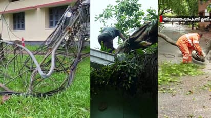 കാലവർഷം നേരത്തെയെത്തി, മഴക്കെടുതിയും: മൊബൈൽ ടവർ നിലംപൊത്തി, മരങ്ങൾ കടപുഴകി; ജില്ലകളിൽ വലിയ നാശനഷ്ടം