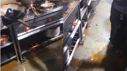 ചീത്ത ഭക്ഷണം, ഒലിച്ചിറങ്ങിയ എണ്ണ, ആകെ വൃത്തികേട്; കാഴ്ച ഞെട്ടിച്ചെന്ന് പരാതി, കാര്യം വേറെയന്ന് മിറാക്കി ചൈനീസ്