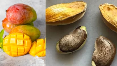 മാമ്പഴ വിത്ത് ഡയറ്റില് ഉള്പ്പെടുത്തൂ, അറിയാം അഞ്ച് ഗുണങ്ങള്