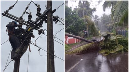 ഒന്നും രണ്ടുമല്ല, 26 കോടിയിലധികം രൂപയുടെ വൻ നഷ്ടം; 257 ഹൈടെൻഷൻ പോസ്റ്റുകളും 2505 ലോ ടെൻഷൻ പോസ്റ്റുകളും തകർന്നു