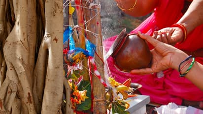 Vat Savitri Vrat Katha Explained: The amazing story of Savitri and Satyavan