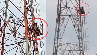 gorakhpur husband climbs mobile tower after catching wife cheating up marriage dispute