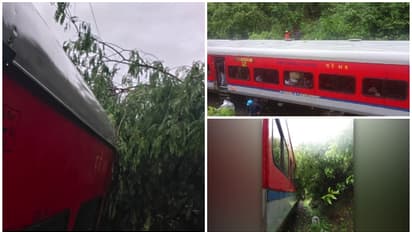 ചെറുതുരുത്തിയിൽ ഓടിക്കൊണ്ടിരുന്ന ട്രെയിന് മുകളിൽ മരക്കൊമ്പുകൾ വീണു 