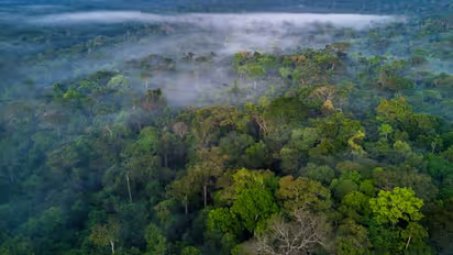 പോൺ അടിമകളായി ചിത്രീകരിച്ചു, അമേരിക്കൻ മാധ്യമങ്ങൾക്കെതിരെ പരാതി നൽകി ആമസോൺ ഗോത്രവിഭാഗം