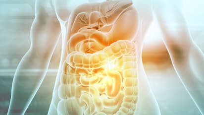 കുടലിന്‍റെ ആരോഗ്യം അവതാളത്തിലായോ? എങ്കില്‍, കഴിക്കേണ്ട ഭക്ഷണങ്ങള്‍ 