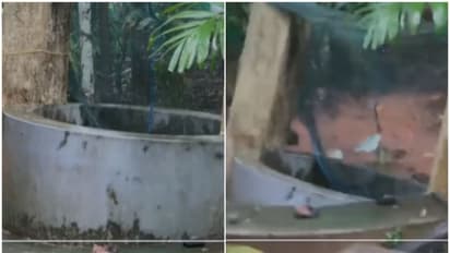 ശബ്ദം കേട്ട് പുറത്തിറങ്ങിയ വീട്ടുകാർ നടുങ്ങിപ്പോയി; കണ്‍മുന്നിൽ കുറേശ്ശെയായി കിണർ ഇടിഞ്ഞു താഴ്ന്നു, വീഡിയോ