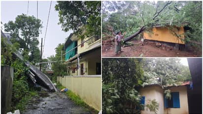 നീണ്ടുനിന്നത് നിമിഷങ്ങൾ മാത്രം, മേൽക്കൂരകൾ പറന്നു, മരങ്ങളും പോസ്റ്റുകളും ഒടിഞ്ഞുവീണു;ചാലക്കുടിയിൽ മിന്നൽ ചുഴലി