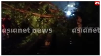 കോഴിക്കോടും ആലുവയിലും റെയിൽവേ ട്രാക്കിൽ മരം വീണു, താറുമാറായി ട്രെയിൻ ​ഗതാ​ഗതം, പുനസ്ഥാപിക്കാൻ ശ്രമം