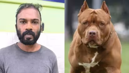 പരിഹസിച്ചെന്ന് തെറ്റിദ്ധരിച്ച് ആക്രമണം, യുവാവിനെ പിറ്റ്ബുള്ളിനെ വിട്ട് കടിപ്പിച്ചു, 36കാരൻ അറസ്റ്റിൽ 