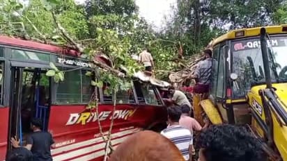 ഓടിക്കൊണ്ടിരുന്ന സ്വകാര്യ ബസിന് മുകളിലേക്ക് മരം വീണ് അപകടം; യാത്രക്കാരെ പുറത്തെടുത്തത് ബസ് പൊളിച്ച്