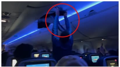 വിമാനത്തിനുള്ളില്‍ പറന്ന് കളിച്ച് ഇണ പ്രാവുകൾ, വൈകിയത് ഒരു മണിക്കൂറോളം; വീഡിയോ വൈറല്‍ 