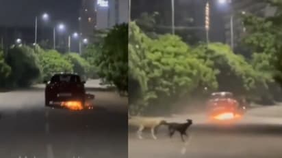 lucknow sushant golf city car hit bike video viral road rage case 