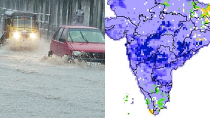 മൺസൂൺ സീസണിൽ കേരളത്തിൽ മഴ കനക്കും; 8% അധികം ലഭിക്കുമെന്ന് കാലാവസ്ഥ വകുപ്പ്, മഴ ജാഗ്രത തുടരാൻ മുന്നറിയിപ്പ്